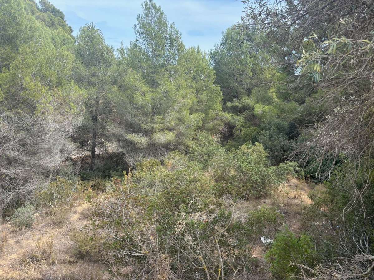 parcelas en benissa · benissa 325000€