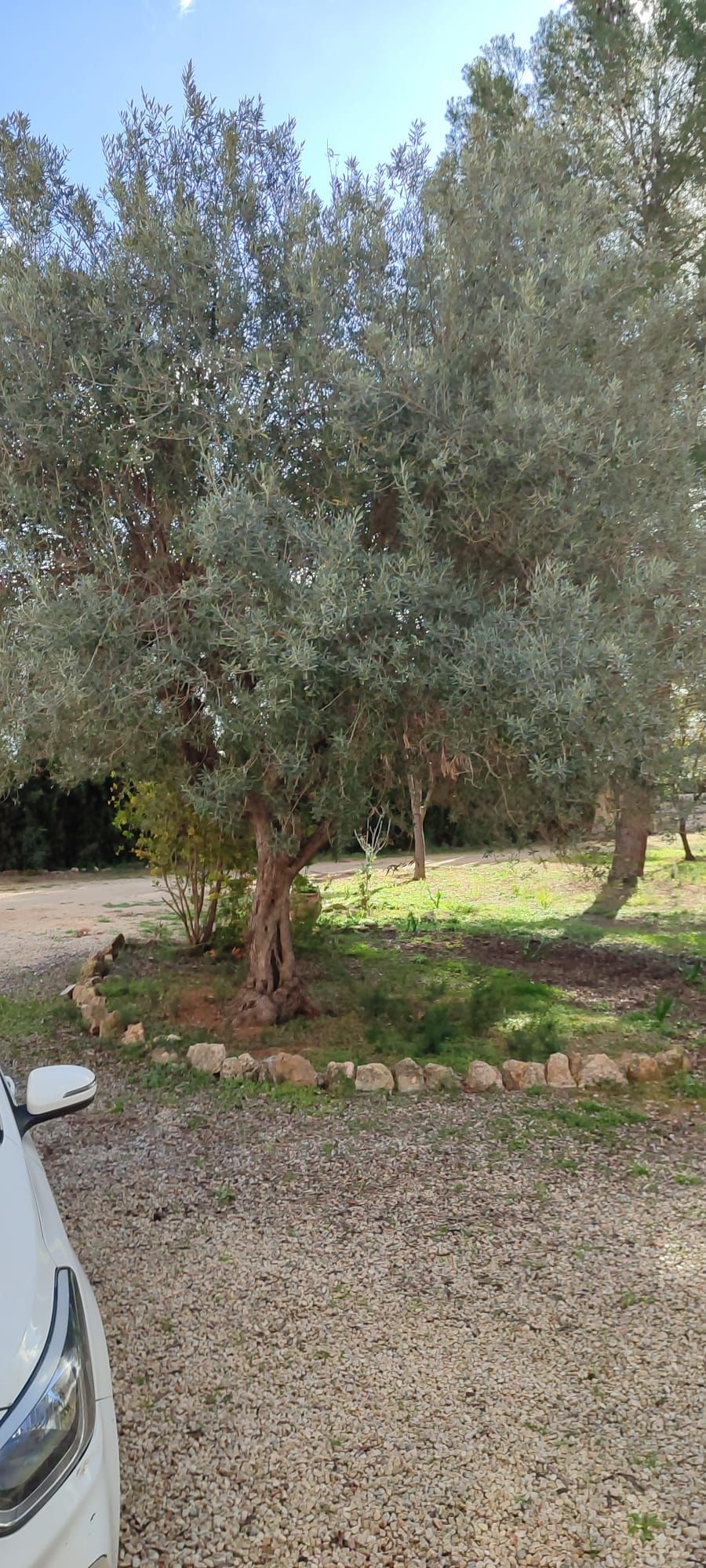 plots en moraira · moraira 1590000€