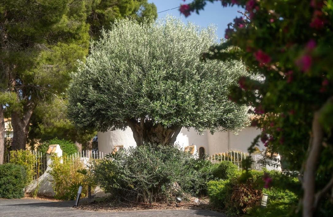 unabhangige-villa en altea · altea 1850000€