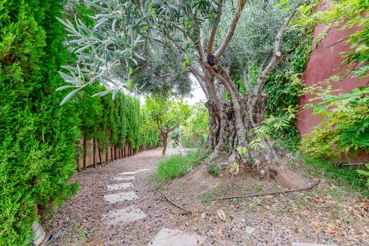 frittliggende-villa en altea-la-vieja · altea-la-vieja 791000€