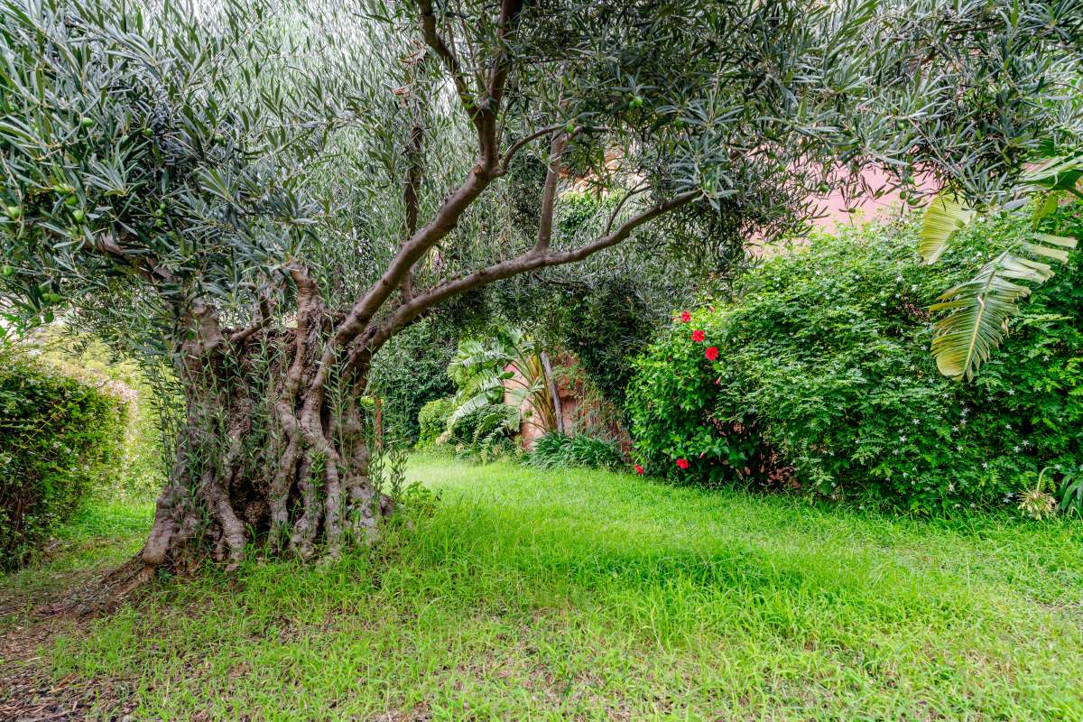 frittliggende-villa en altea-la-vieja · altea-la-vieja 791000€