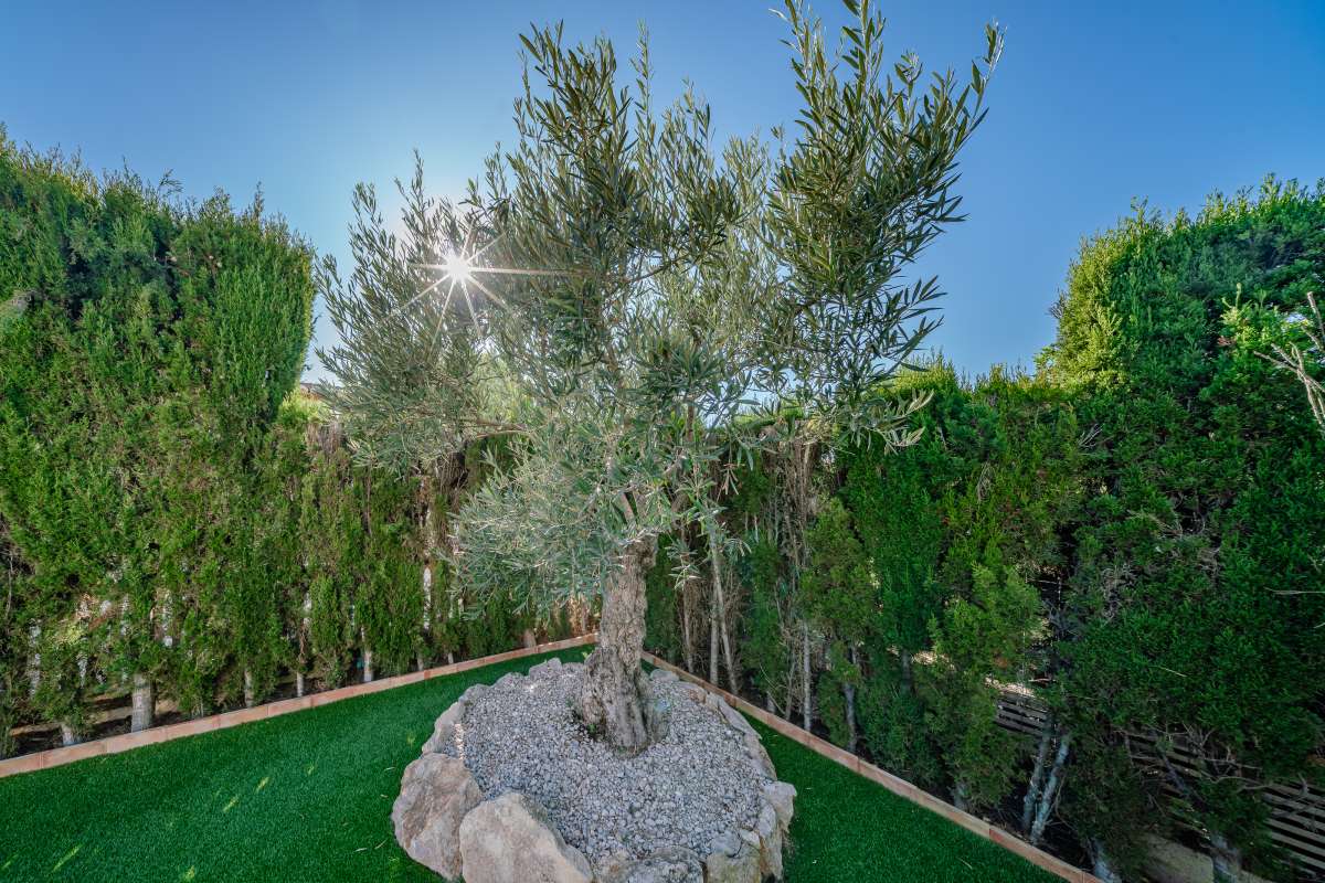 detached-villa en carrio · carrio 1400000€