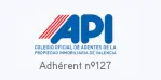 API logo