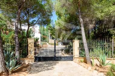 ibiza-estate