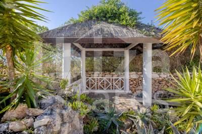 ibiza-estate
