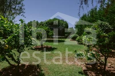 ibiza-estate