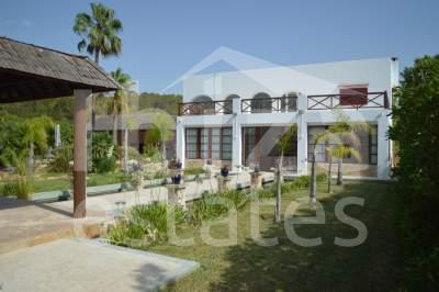 ibiza-estate