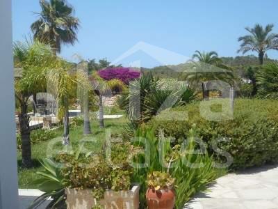 ibiza-estate