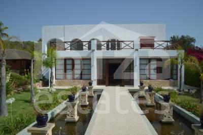 ibiza-estate