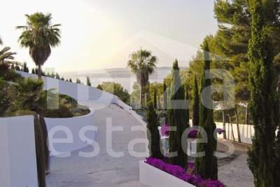 ibiza-estate