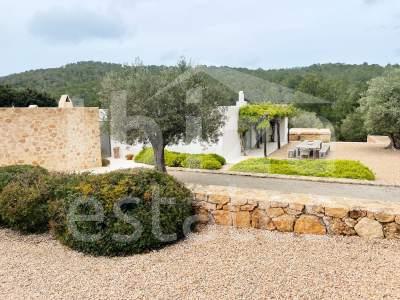 ibiza-estate
