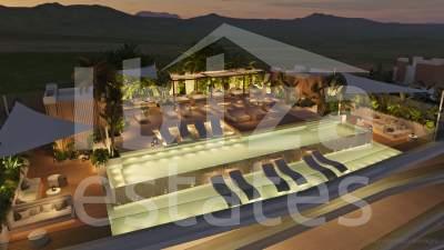 ibiza-estate
