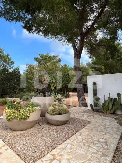 ibiza-estate