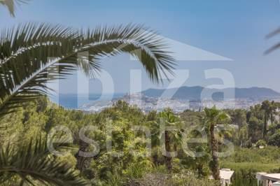 ibiza-estate