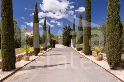 ibiza-estate