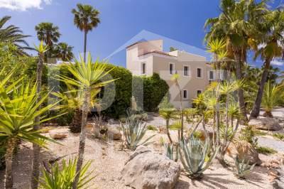 ibiza-estate