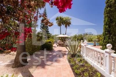 ibiza-estate