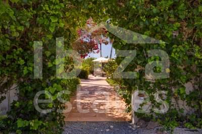 ibiza-estate