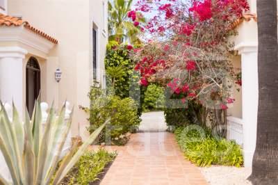ibiza-estate