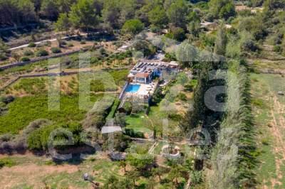ibiza-estate