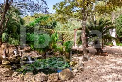 ibiza-estate