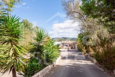 ibiza-estate