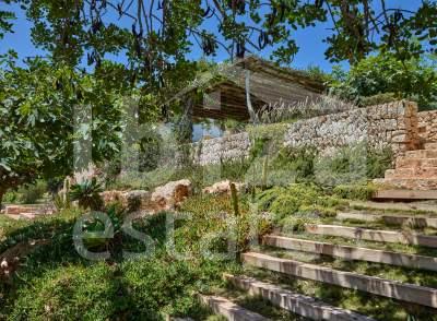 ibiza-estate