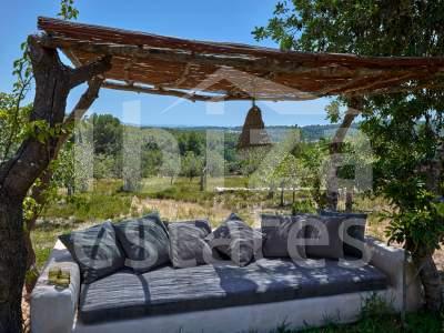 ibiza-estate