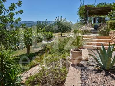 ibiza-estate