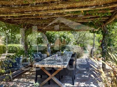 ibiza-estate