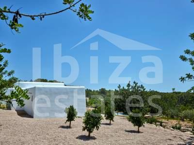 ibiza-estate