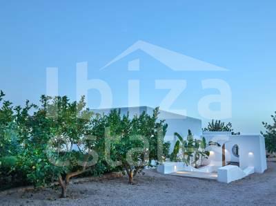 ibiza-estate