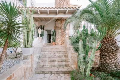 ibiza-estate
