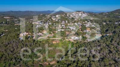 ibiza-estate