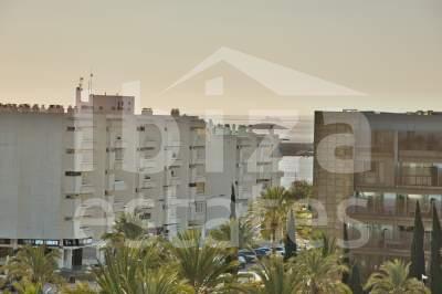 ibiza-estate