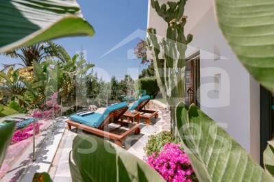ibiza-estate
