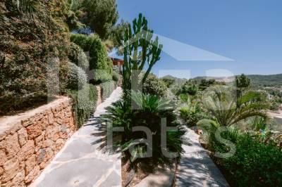 ibiza-estate
