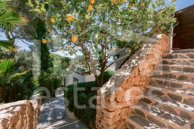 ibiza-estate