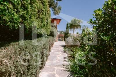 ibiza-estate