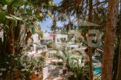 ibiza-estate