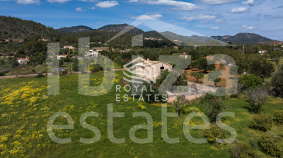 mallorca-estate