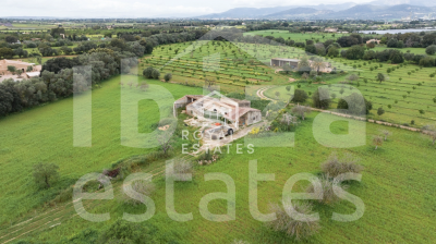 mallorca-estate
