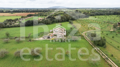 mallorca-estate