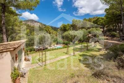 mallorca-estate