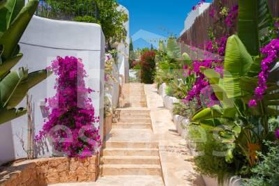 ibiza-estate