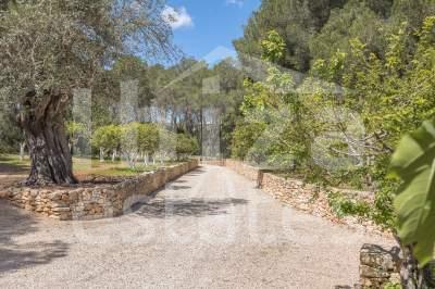 ibiza-estate