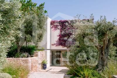 ibiza-estate