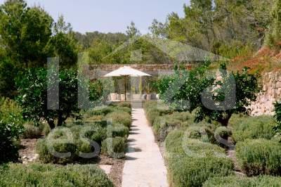 ibiza-estate