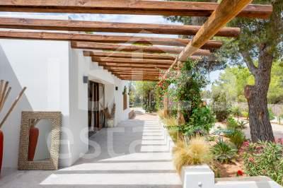 ibiza-estate