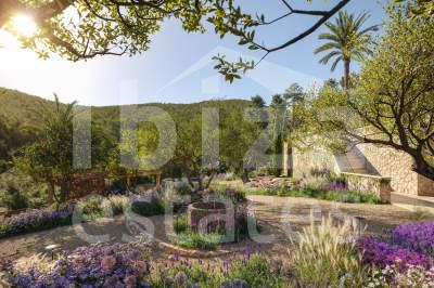 ibiza-estate